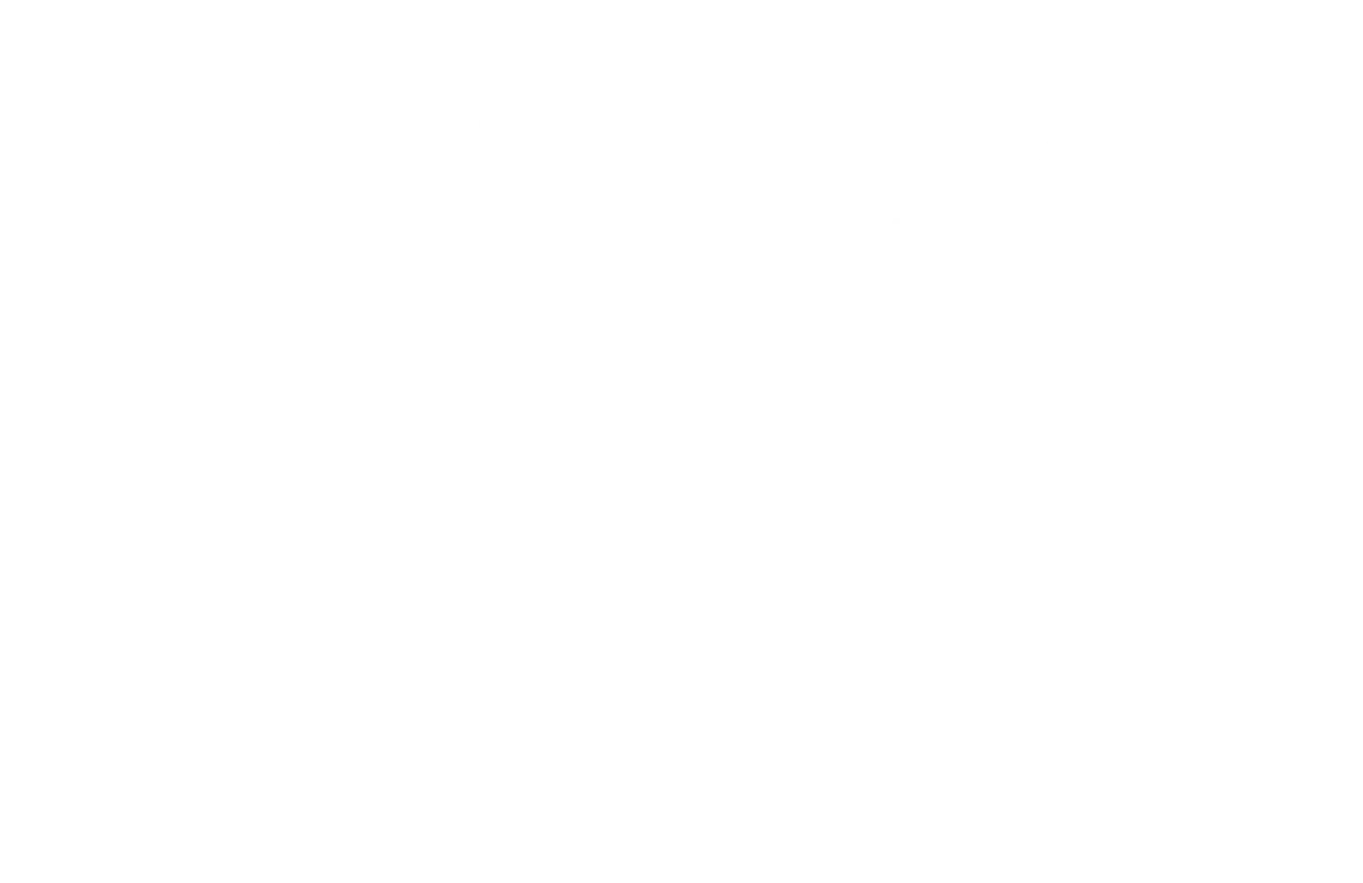 Alfa Forni South Africa